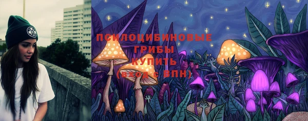 круглые Алзамай